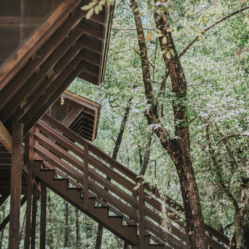 dsc_4186